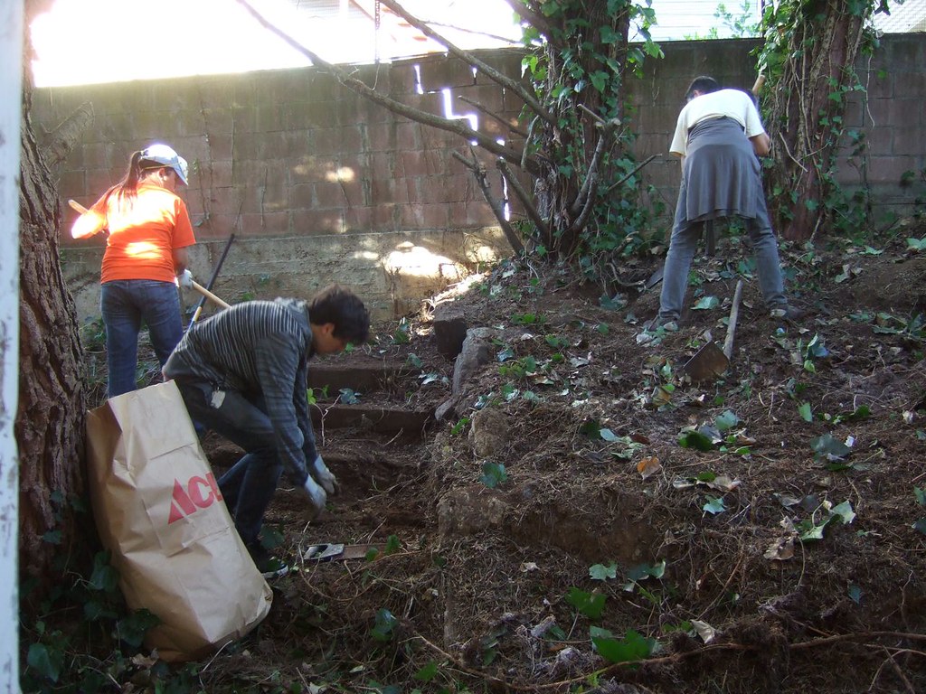 Backyard Clean Out